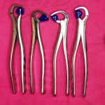 Physics Forceps Dental Instruments