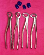 Physics Forceps Dental Instruments - Image 3