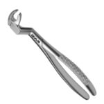 22 1/2R Extraction Forceps English Pattern