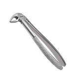 33 Root Extraction Forceps English Pattern