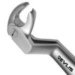 22 1/2R Extraction Forceps English Pattern - Image 2