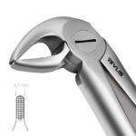 33 Root Extraction Forceps English Pattern - Image 2