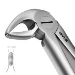 33 Root Extraction Forceps English Pattern - Image 2
